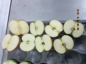 Netherlands Fruit Quality Control Inspector